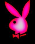 pic for playboy bunny